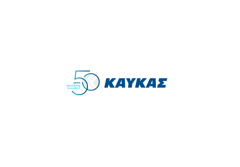 Υπάλληλοι Καταστήματος Ηλεκτρολογικού Υλικού (Β. ΚΑΥΚΑΣ Α.Ε.)